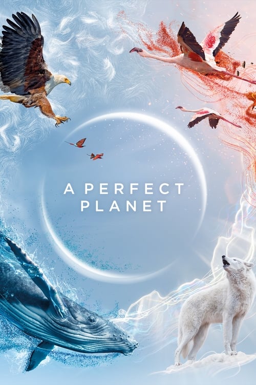 A Perfect Planet : 1.Sezon 5.Bölüm İzle