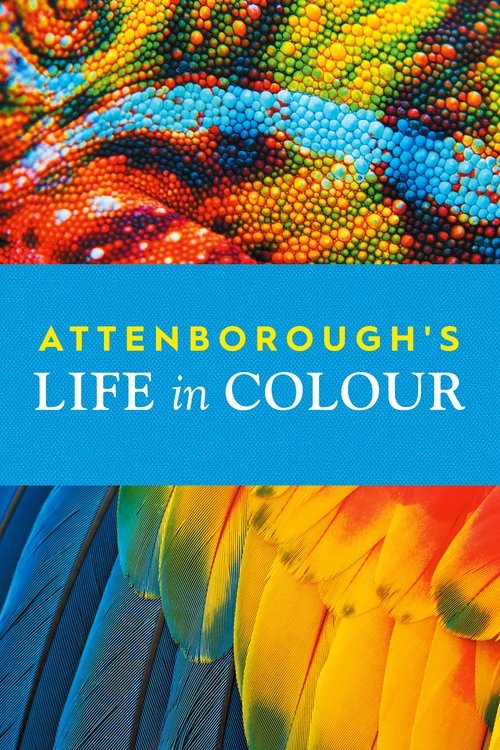 Attenborough’s Life in Colour : 1.Sezon 2.Bölüm İzle