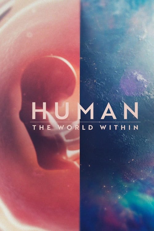 Human The World Within : 1.Sezon 6.Bölüm İzle
