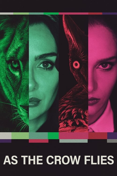 Kus uçusu : 1.Sezon 8.Bölüm İzle