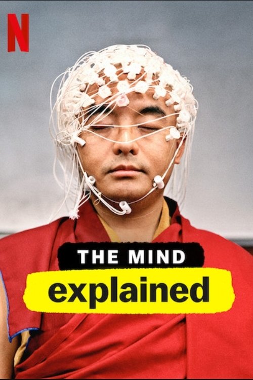 The Mind, Explained : 2.Sezon 5.Bölüm İzle