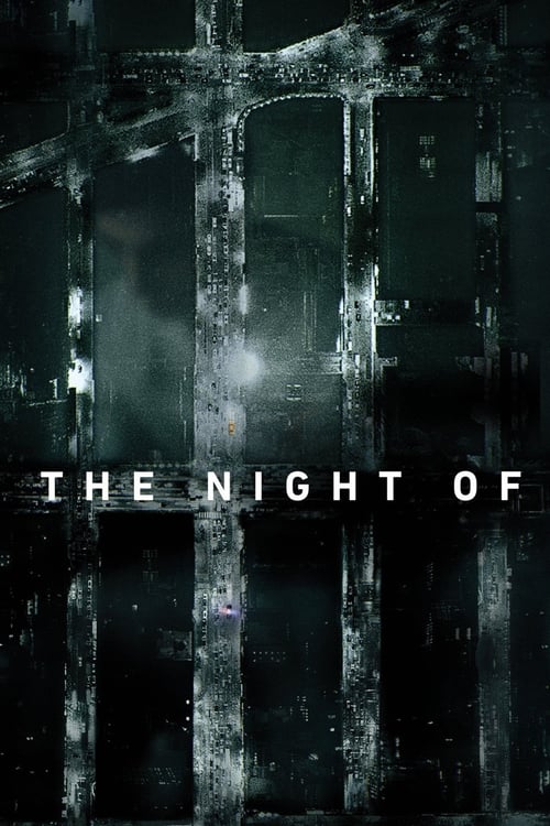 The Night Of : 1.Sezon 8.Bölüm İzle