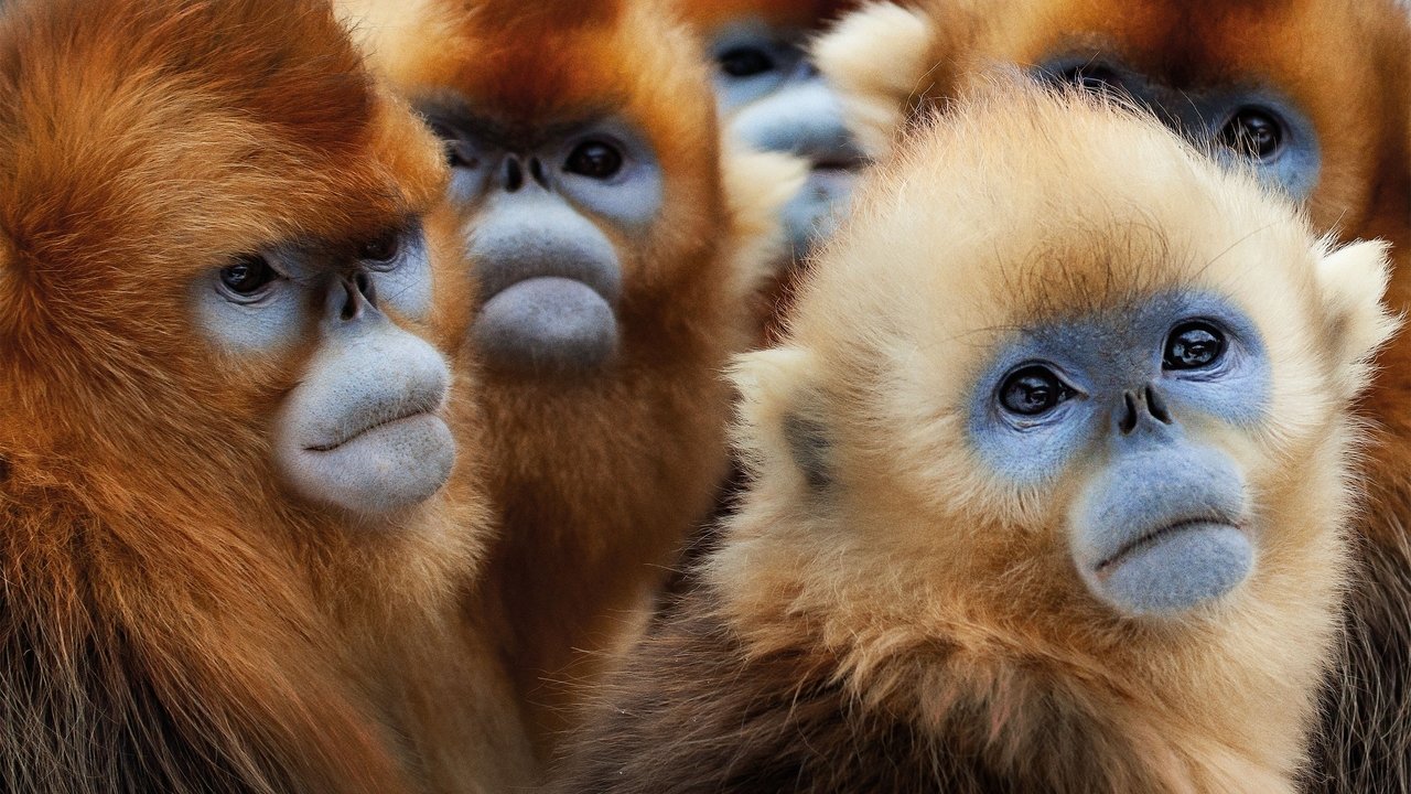 Seven Worlds, One Planet İzle